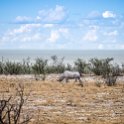 Etosha National Park